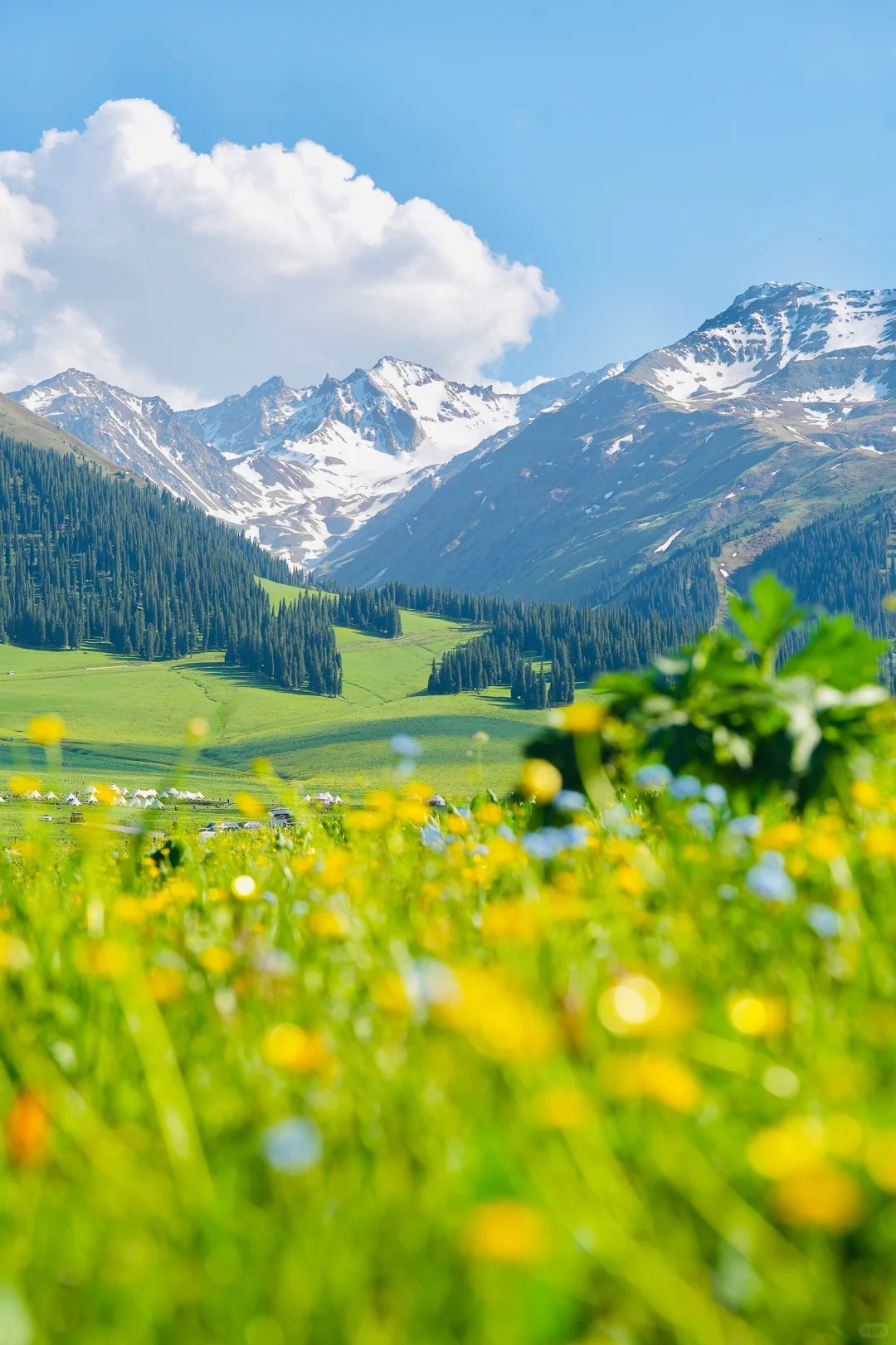 Xinjiang landscape